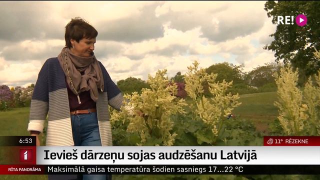 Ievieš dārzeņu sojas audzēšanu Latvijā смотреть онлайн