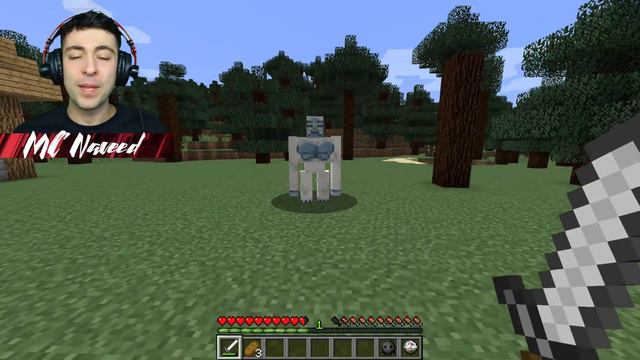 Minecraft SCP GOLEM MOD / FIGHT DANGEROUS SCP CREATURES FOR SURVIVAL !! Minecraft Mods смотреть онлайн