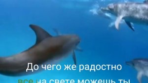 12. Все на свете можешь ты...