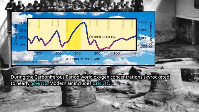 Earth.Parts #25 Kerogen & dead-carbon cycling over timescales of thousands to millions of years смотреть онлайн