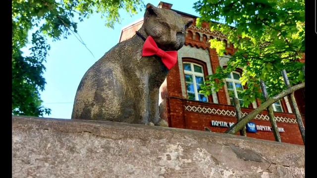 1000065319.mp4 смотреть онлайн