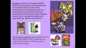 Лекция 9. Мозг_ другие медиаторы. Глицин, кофеин, каннабиноиды. Курс_ Химия мозга