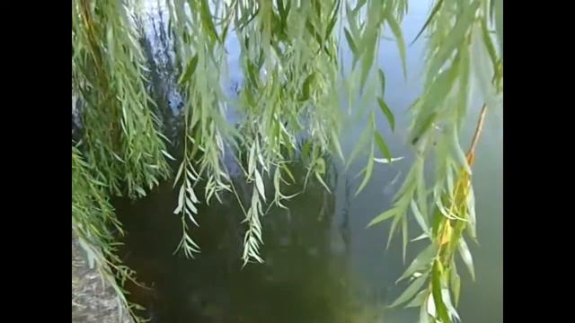 Анатоль Багатыроў: "Там, дзе круты яр уецца..." смотреть онлайн