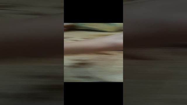 Спасите крокодила 😱