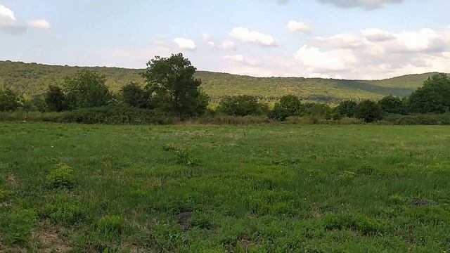 ГДЕ-ТО за Натухаевской станицей 🌞 остановились казаки, чтобы перекусить... смотреть онлайн