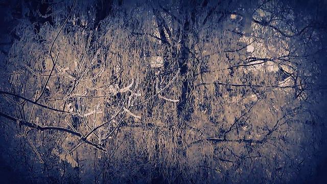 SCHUBERT, Winterreise, Op. 89, D. 911 No. 24. Der Leiermann. Andreas Schmidt & Rudolf Jansen
