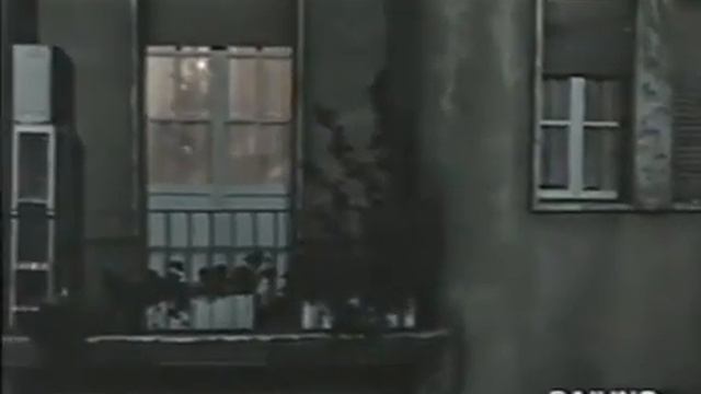 dal film "Una giornata particolare" 1977 di Ettore Scola смотреть онлайн