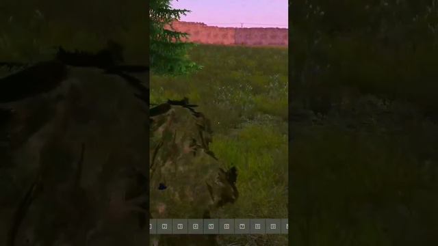 Вошёл в положение и не стал стрелять.. #shorts #short #dayzstandalone