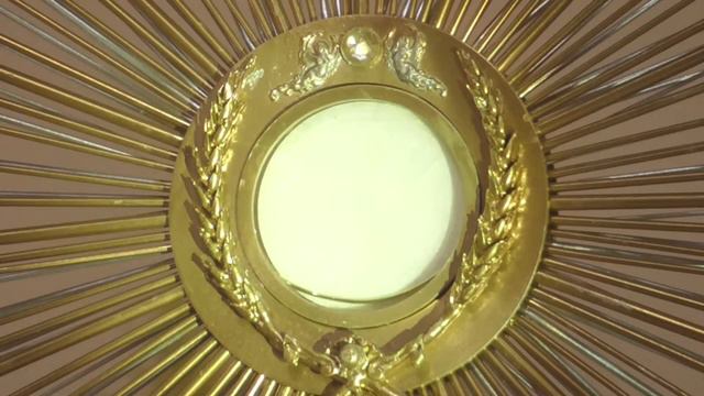 St Bernadette - Fr Doug's Mass Wed 7:30am 19 Apr 2023 смотреть онлайн