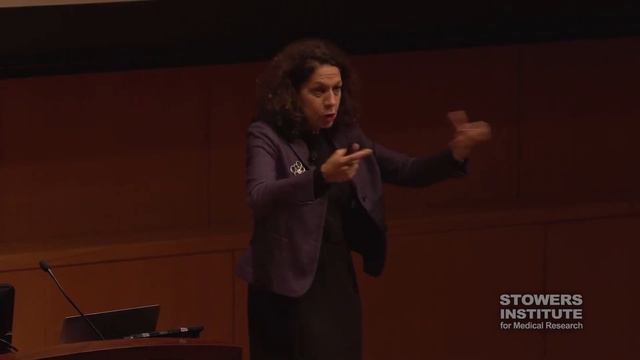 BIG IDEAS @ScienceStowers featuring Bonnie Bassler, PhD смотреть онлайн