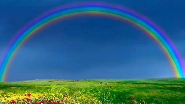 В НЕБЕ РАДУГИ СВЕТ