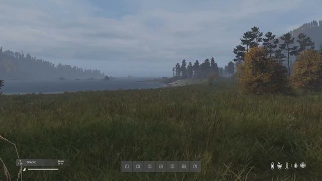 [OLD]Magnum / Revolver Guide DayZ | Everything you need to know смотреть онлайн