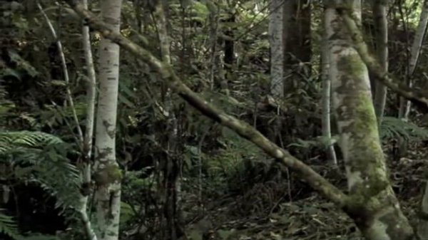 Travel TV- travel photography