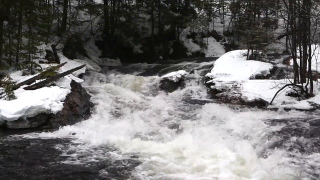 In dulci jubilo (arr. Anne Sullivan) смотреть онлайн