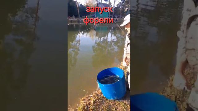 запуск форели смотреть онлайн