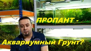Пропант в аквариуме (Архив от 30.03.2024)