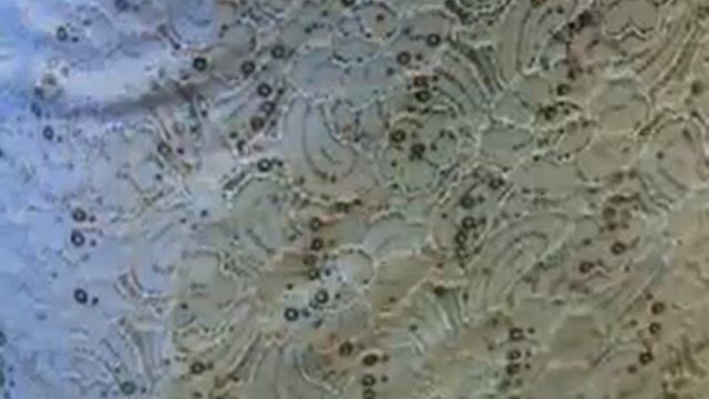 Бал НГУ смотреть онлайн