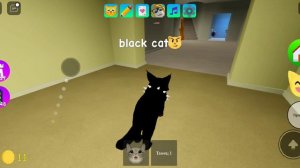 КАК СТАТЬ ЧЕРНЫМ СЕКРЕТНЫМ КОТИКОМ😺