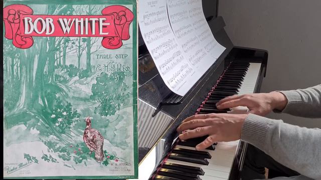 Bob White (1908) by Jacob Henry Ellis смотреть онлайн