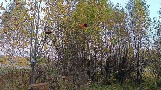 Ловля Ремезов 21.09.24. смотреть онлайн