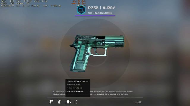 P250 X-Ray Case смотреть онлайн