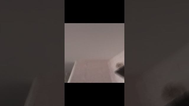 1000020439.mp4 смотреть онлайн