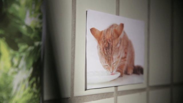 The Girl With All The Gifts смотреть онлайн