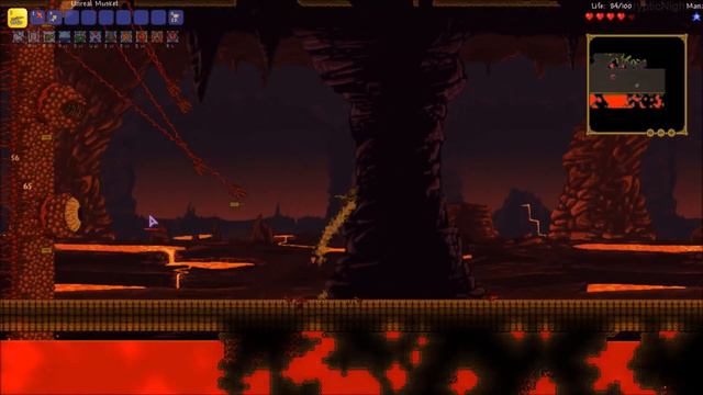 Terraria Wall Of Flesh - Musket & 100 HP