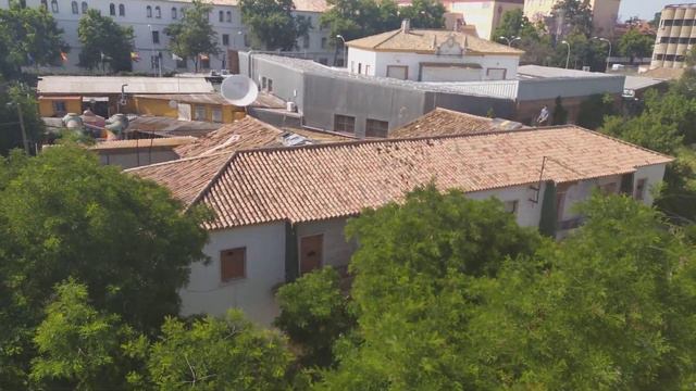 Varios okupas causan altercados en la calle Rodrigo de Triana de la capital смотреть онлайн