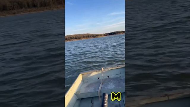 212cc Mud-Skipper long tail mud motor on 1436 StarCraft jon boat смотреть онлайн