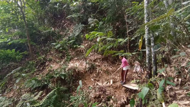 The Orphan Girl Wandered Around Looking For Work And Her End @Thuymai1306 #Orphan Girl