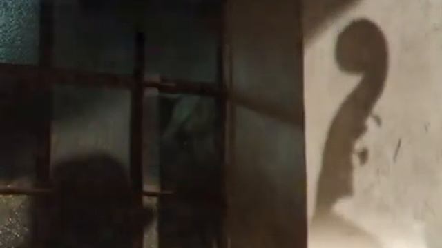 Alberto Iglesias y Vicente Amigo - Hable con ella смотреть онлайн