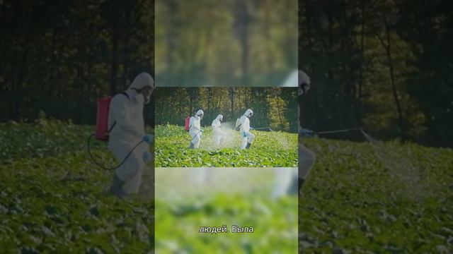 Битва с кактусами в Австралии