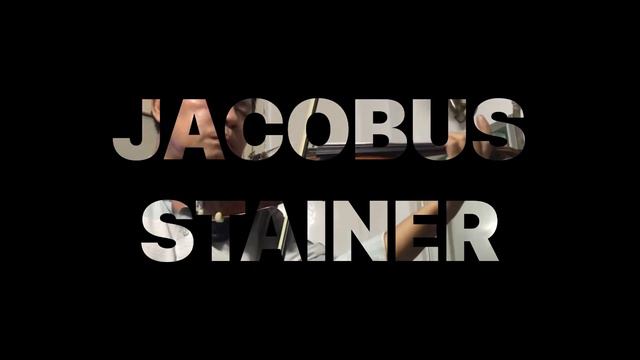 Đàn Violin Châu Âu 4/4 Jacobus Stainer смотреть онлайн
