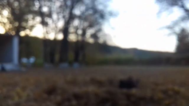 Lupte libere manu смотреть онлайн