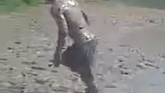 Best fail смотреть онлайн