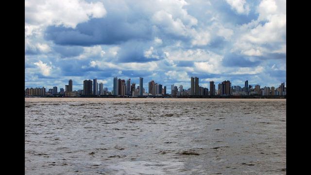 Jaroslav Pelikán - Sonatina Brasileira