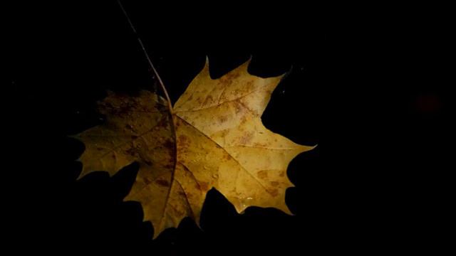 Hans Werner Henze: Concerto per pianoforte e orchestra n.2 (1967) (4/4) смотреть онлайн