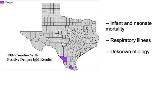 (2/3) The light of evolution: What would be lost смотреть онлайн