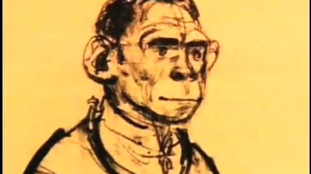 Planet of the Apes - Background Info. Pt2 смотреть онлайн