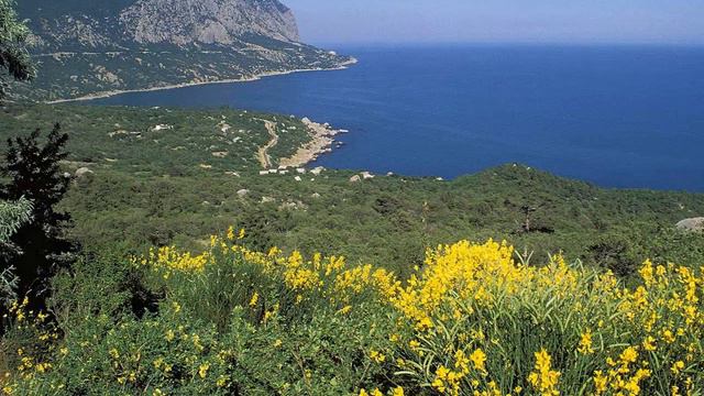 Тарас Петриненко та інші - Діва Марія, сохрани нам Україну смотреть онлайн