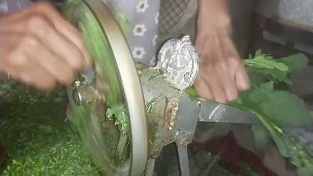 Saag or maki ki roti😋😋 смотреть онлайн