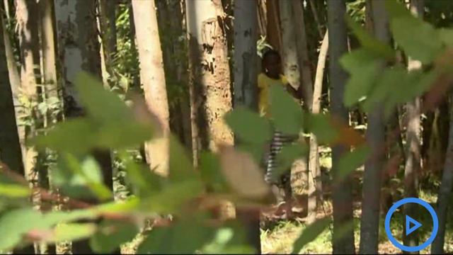 Meet 20-year-old Lily, A Kenyan Environmental Enthusiast Emulating Maathai