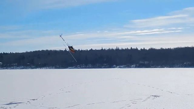 Colin Bell TRex 800 Helis on Ice 2014 смотреть онлайн