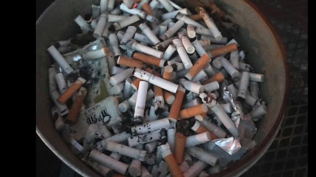 Critique 3 - Benjamin Holt