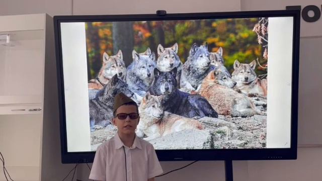 Гамов Савелий смотреть онлайн