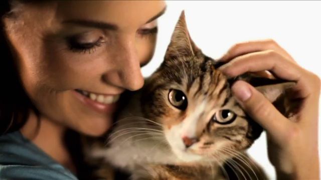 Craig Barrett TV Commercial смотреть онлайн