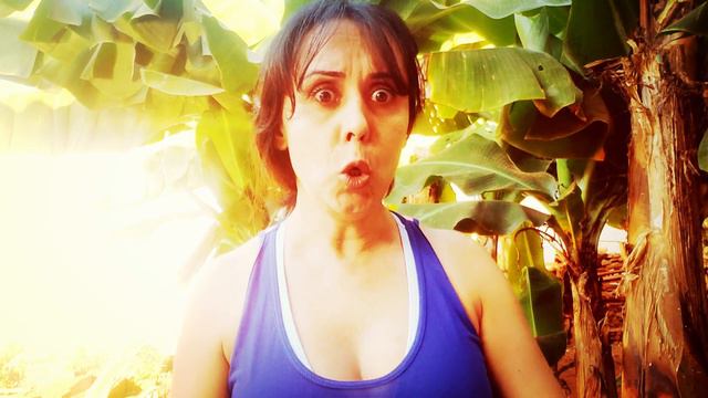 CONTAÇÃO JOÃO E O PÉ DE FEIJÃO