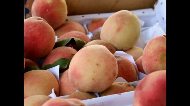 Узбекистан. Ташкент. Базар Юнус Абад. Фруктовый рай. ❤ смотреть онлайн