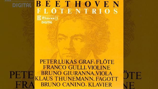 Serenade For Flute, Violin & Viola In D Major, Op. 25: IV. Andante Con Variazioni